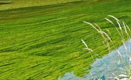 010 - der etwas andere doubs